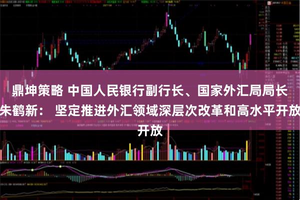 鼎坤策略 中国人民银行副行长、国家外汇局局长朱鹤新： 坚定推进外汇领域深层次改革和高水平开放