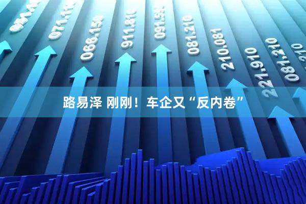 路易泽 刚刚！车企又“反内卷”