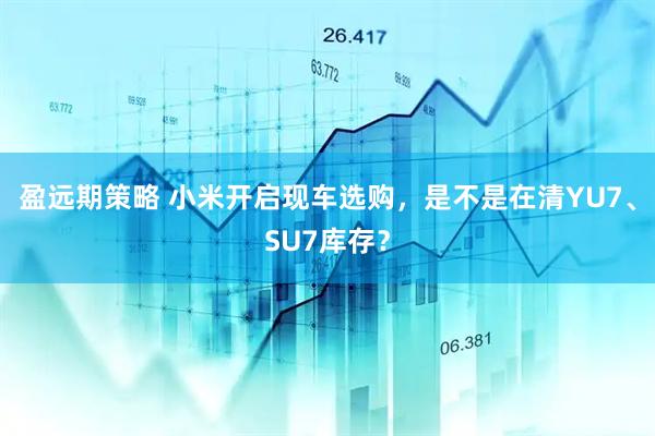 盈远期策略 小米开启现车选购，是不是在清YU7、SU7库存？